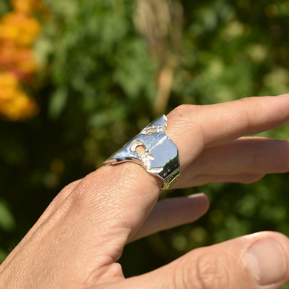 Thumbnail: Brutalist Silver Ring | Caladium