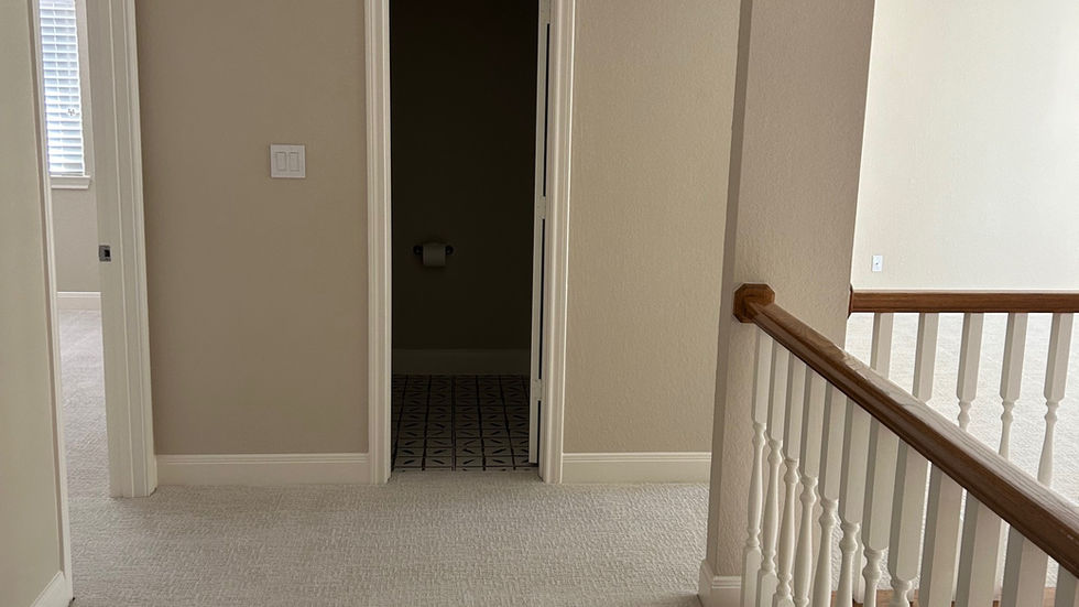 Bright and Clean Interiors