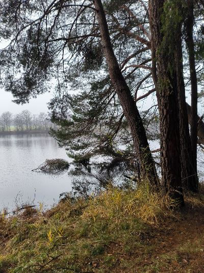 étang de l'abbaye de la Trappe