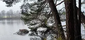 Etang de l'abbaye de la Trappe.webp