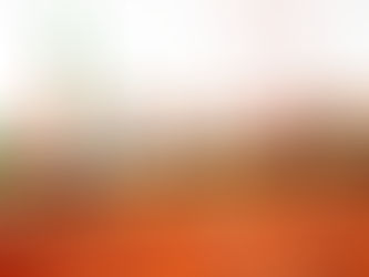 Présidentielle 2025 : Pluie de rejets et délibérés au Conseil Constitutionnel