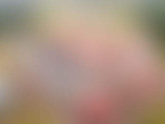 Retrait Stratégique : Globeleq Cède ses Actifs Énergétiques de Kribi et Dibamba à des Repreneurs Locaux