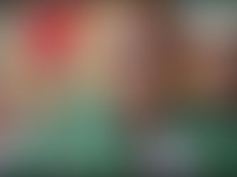 CAMEROUN – Mora en ébullition : Le SDF défie l’interdiction préfectorale et prend la rue