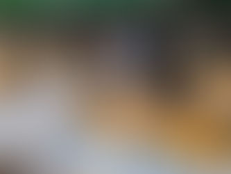 Sécurité Frontalière : Le BIR Intercepte 62 Migrants Clandestins Transportant Cannabis et Tramadol