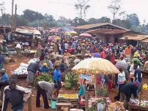 Le Cameroun intensifie son programme social : plus de 10 000 nouveaux ménages ciblés