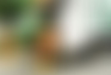 Gestion des Déchets à Yaoundé : La CUY Prépare un Second Site de Dépôt Face à la Saturation de Nkolfoulou