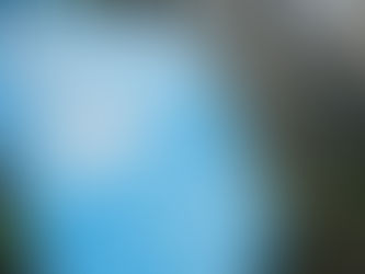 Côte d'Ivoire : La HACA critique France 24 pour un reportage jugé partial et déséquilibré