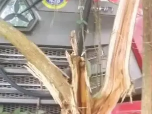 Accident mortel à Loumbou : un mort et trois blessés graves sur la Nationale n°10