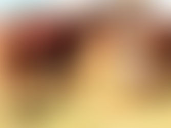 Douala : un complexe agro-industriel de 26,7 milliards FCFA pour transformer la filière bovine