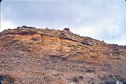 n14