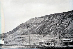 NEG21