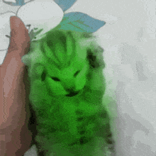 vorparian-cat.gif