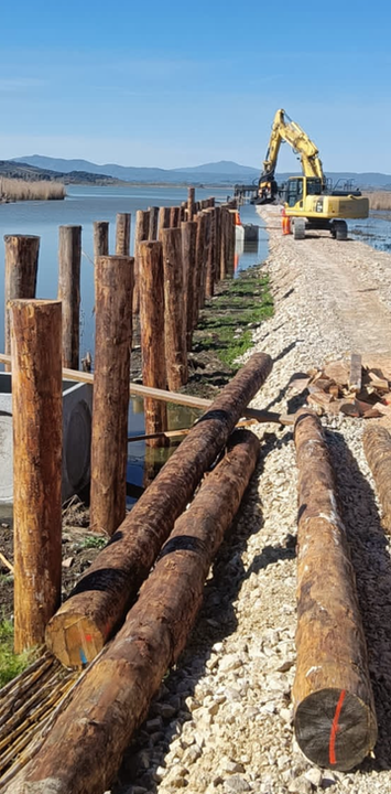 Il battipalo con pinza in azione per il consolidamento e la protezione di un argine, assicurando stabilità e resistenza a lungo termine.