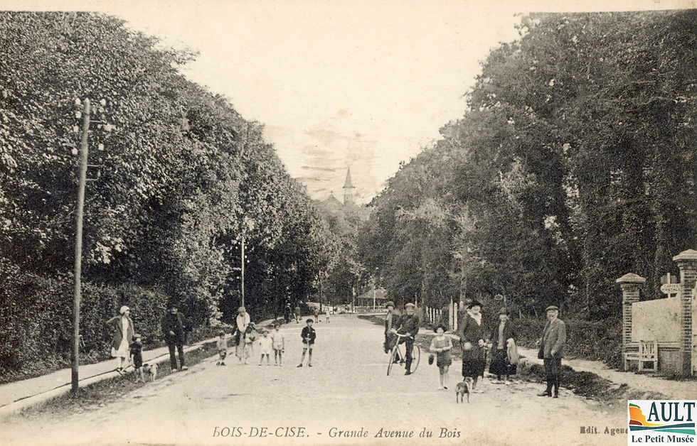 752- 043  Bois de Cise grande Avenue du Bois R.jpg