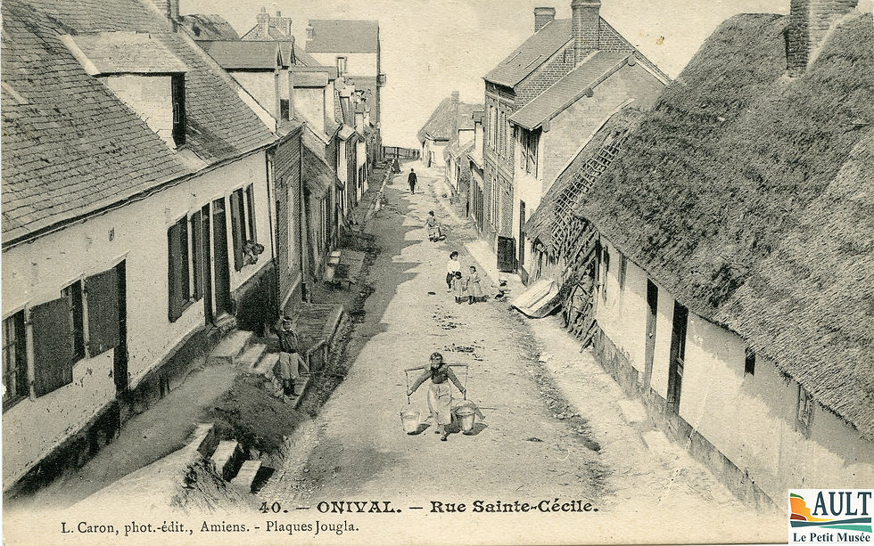 540-212 rue sainte cécile-2.jpg