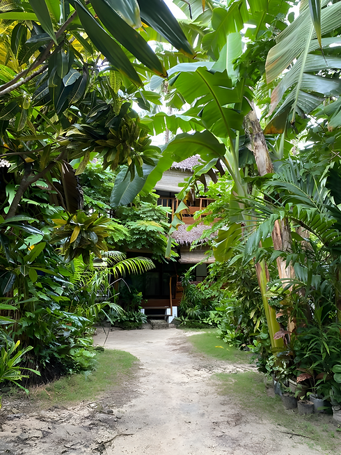 courtyardpage 2_edited.png