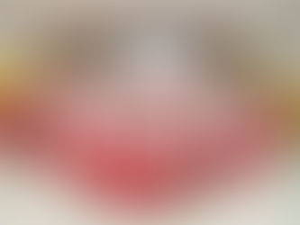 チャリティーサンタの活動に参加しました