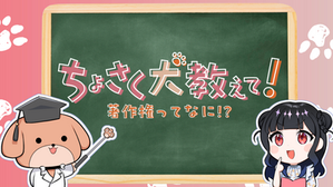 情報Ⅰのアニメ教材がリリースされました