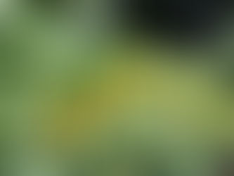 【令和5年度】学生募集要項の配布