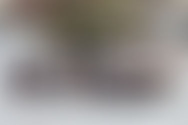 学科オリエンテーションを実施しました