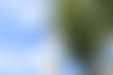入試スケジュールおよび資料請求