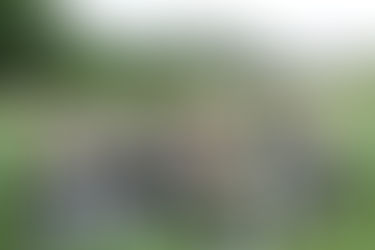 竹田市でとうきびに関するサービスラーニングを実施しました