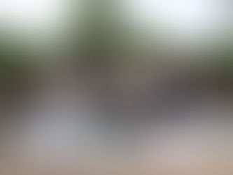 別府の清掃活動を実施しました