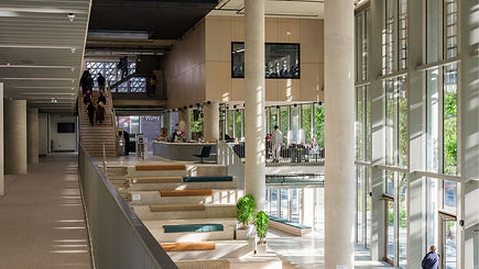 International Year One in Business