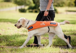 Guide Dogs Australia website