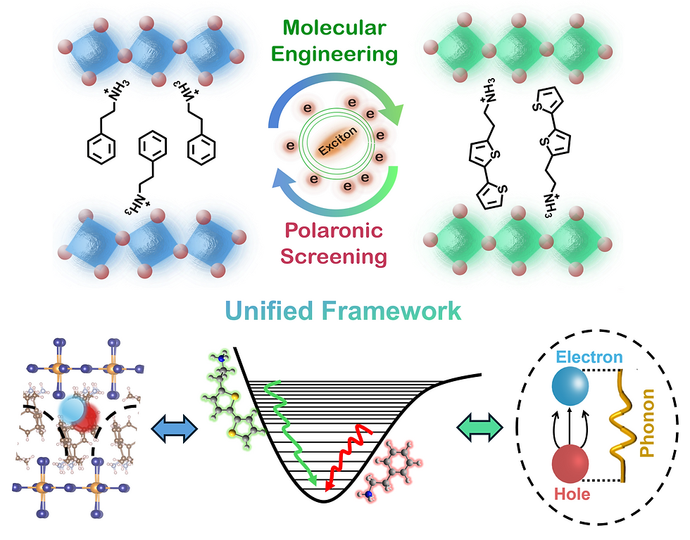 Mechanistic framework for understanding carrier cooling