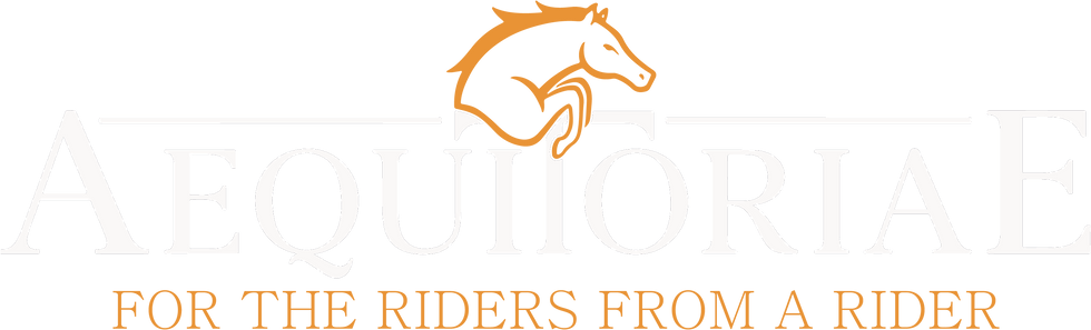 logo partner road to rome jumping tour Aequitoriae