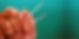 blue-bkgrd-crop.jpg