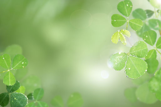 AdobeStock_339074366.jpeg