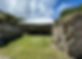 IMG_4233.jpeg