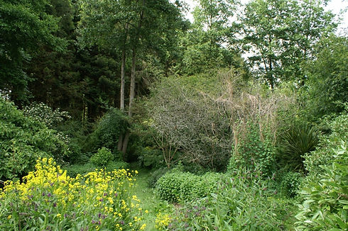 tuin-crawford-in-devon1-1536x1021_edited.jpg