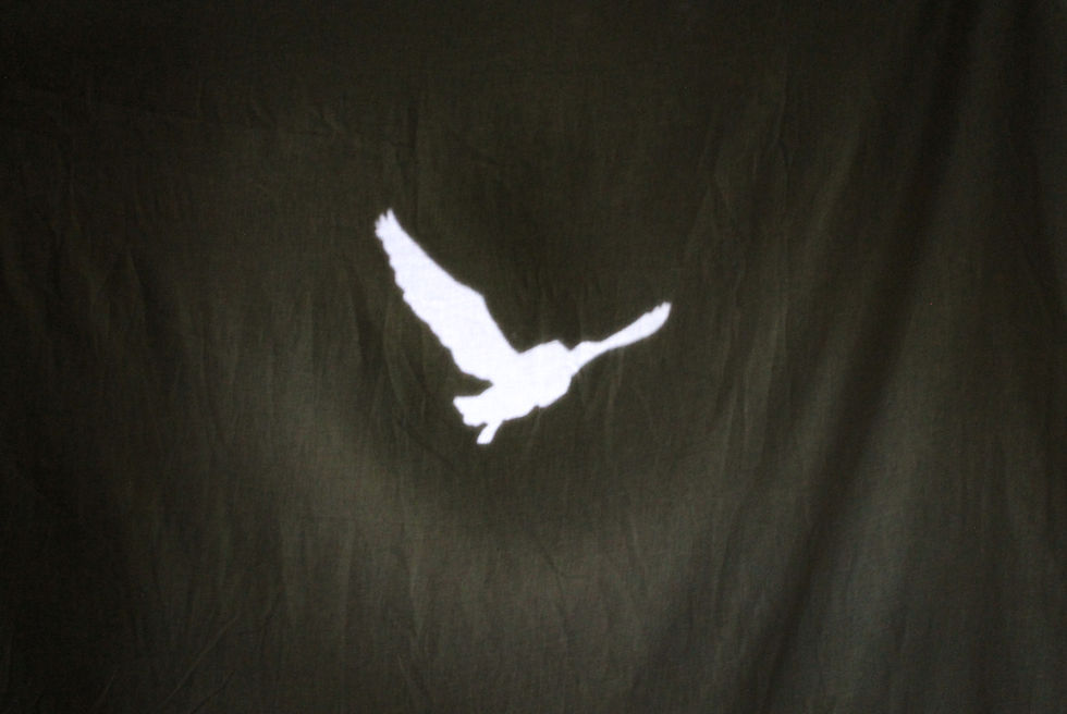 Owl projection