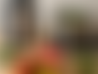 The art of natural healing