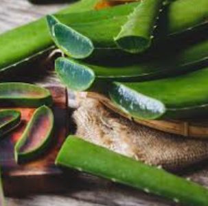 The herb at your doorstep