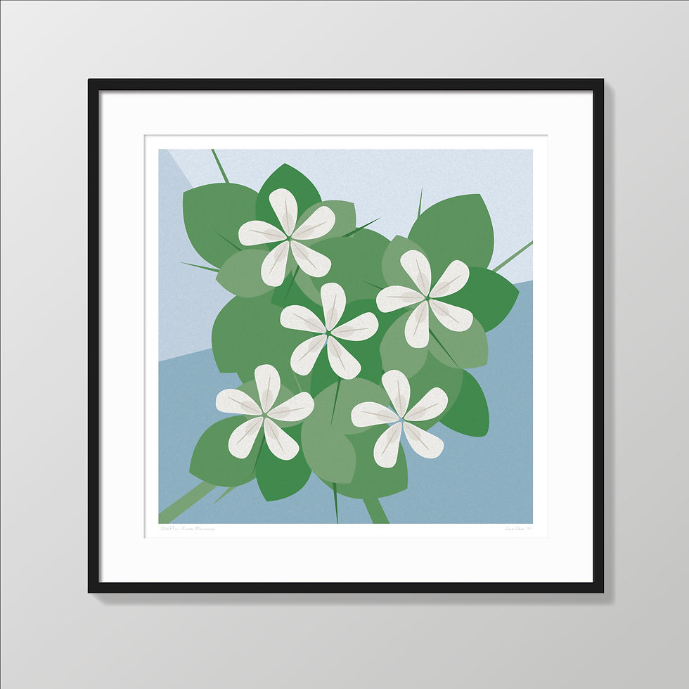 Thumbnail: Natal Plum giclée fine art print by Duane Fisher – framed and unframed options