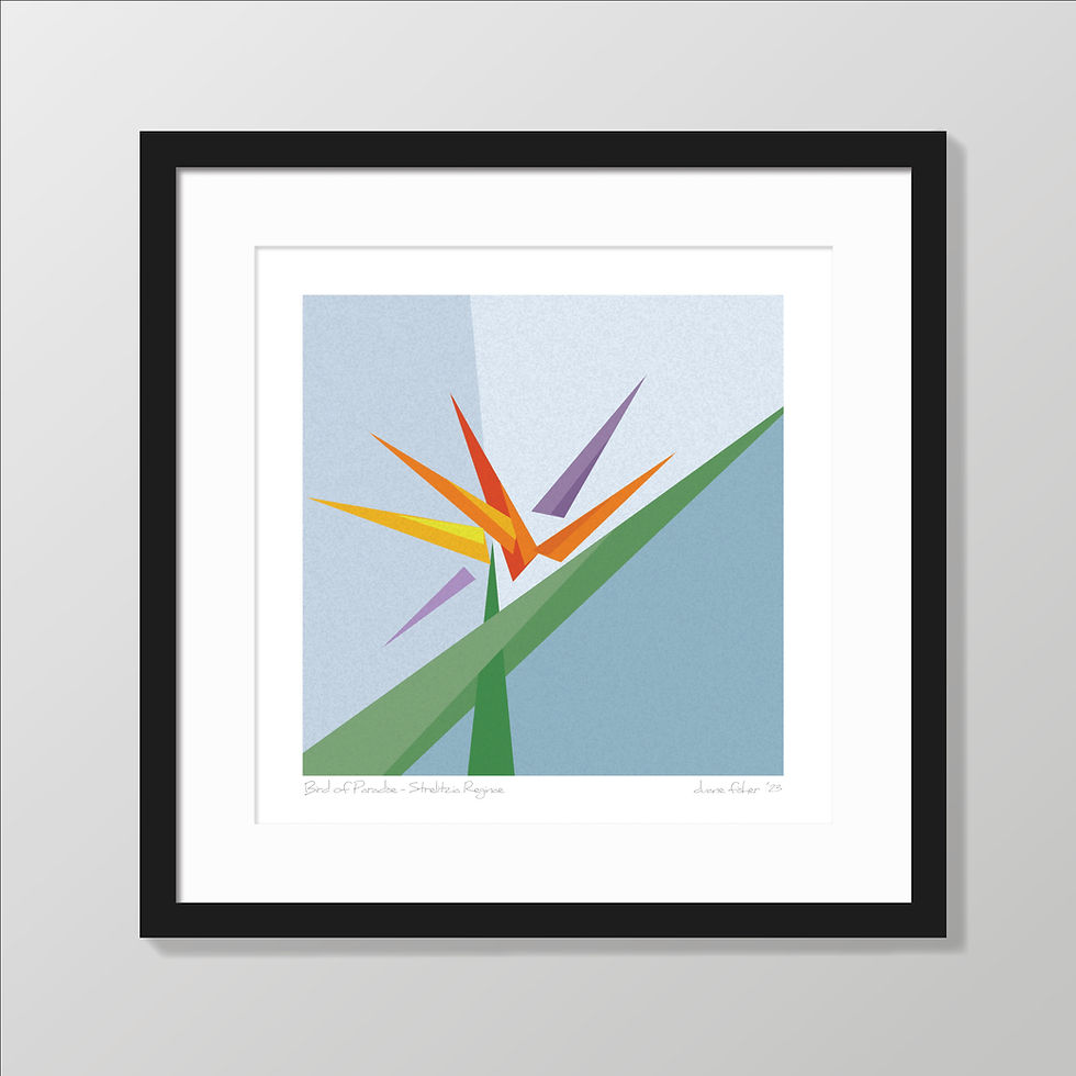 Thumbnail: Bird of Paradise giclée fine art print by Duane Fisher – framed and unframed options