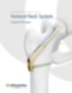 P-24 Femoral Neck System (FNS)