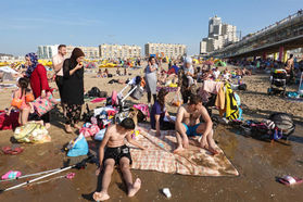 Twenty Best (11) (Large).JPG