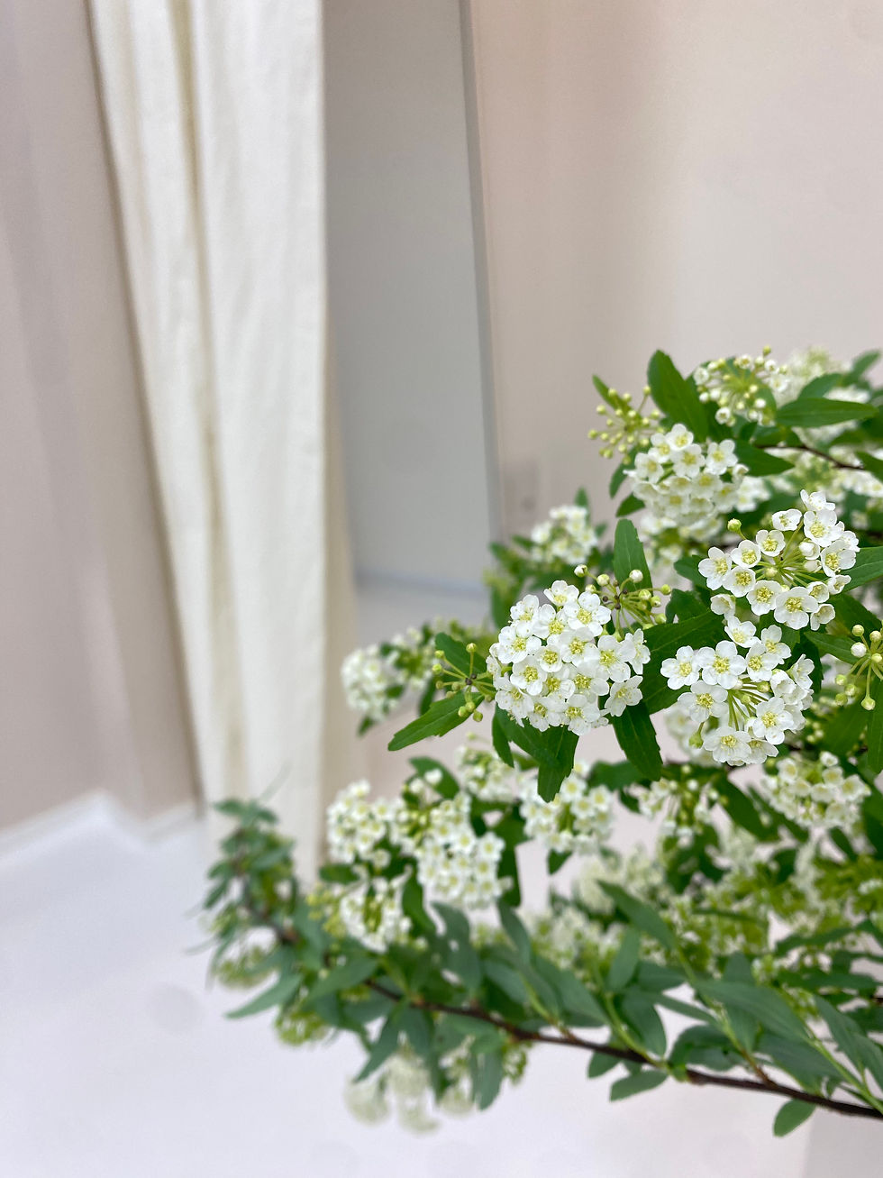 減量目的以外の人からも選ばれています