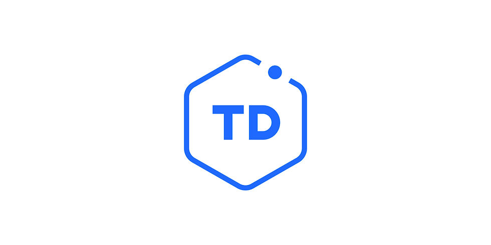 TDbeginners