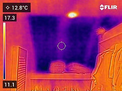 loft thermal survey