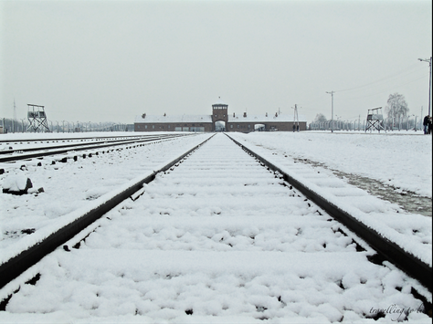 10 días para descubrir Polonia - Auschwitz (Parte IV)