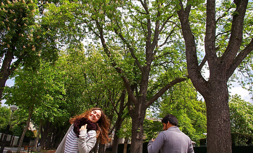Paseo de Fray Francisco, Vitoria