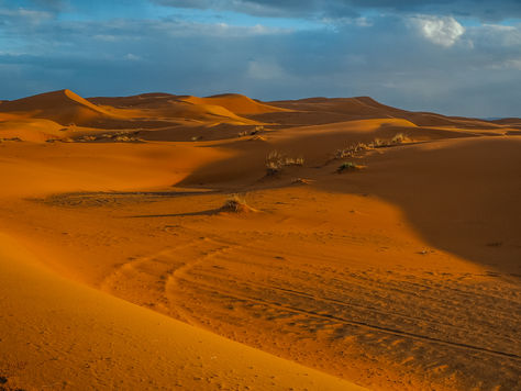 Excursión de 3 días al Desierto del Sahara