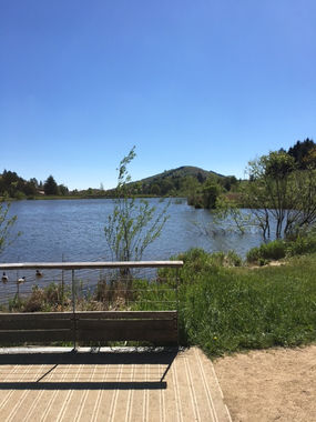 image2 (1).jpeg