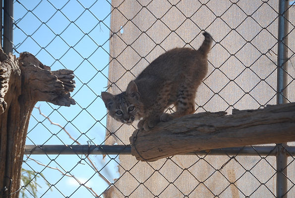 DSC_0031.JPG